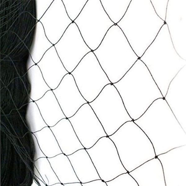 Black Bird Netting