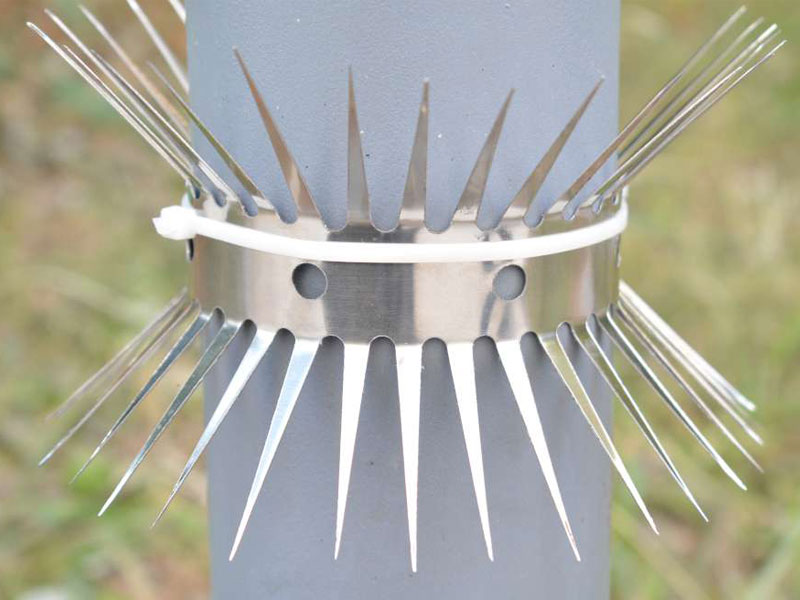 A close up picture of Anti Climb Spikes ,Stainless Steel Anti Climb Wall Spike