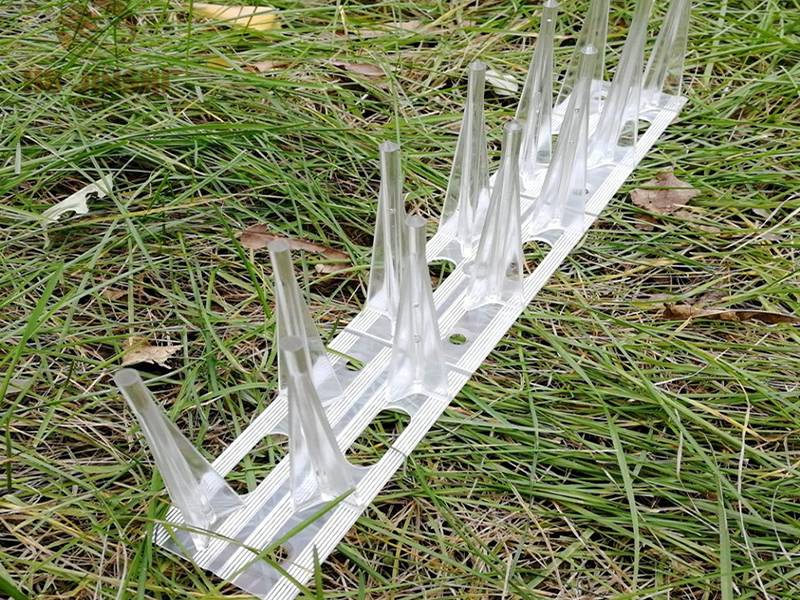 A close up picture of 100% polycarbonate bird spikes including base.