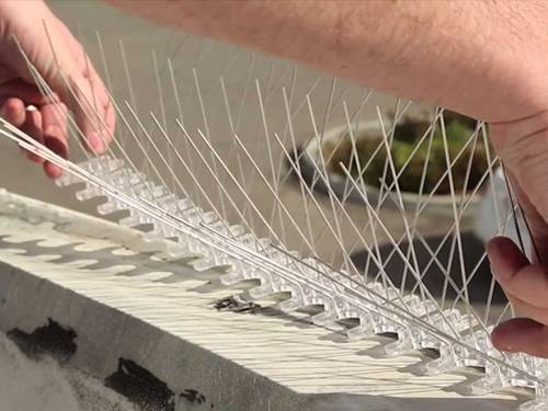 A man was installing the stainless steel bird spike with glue.