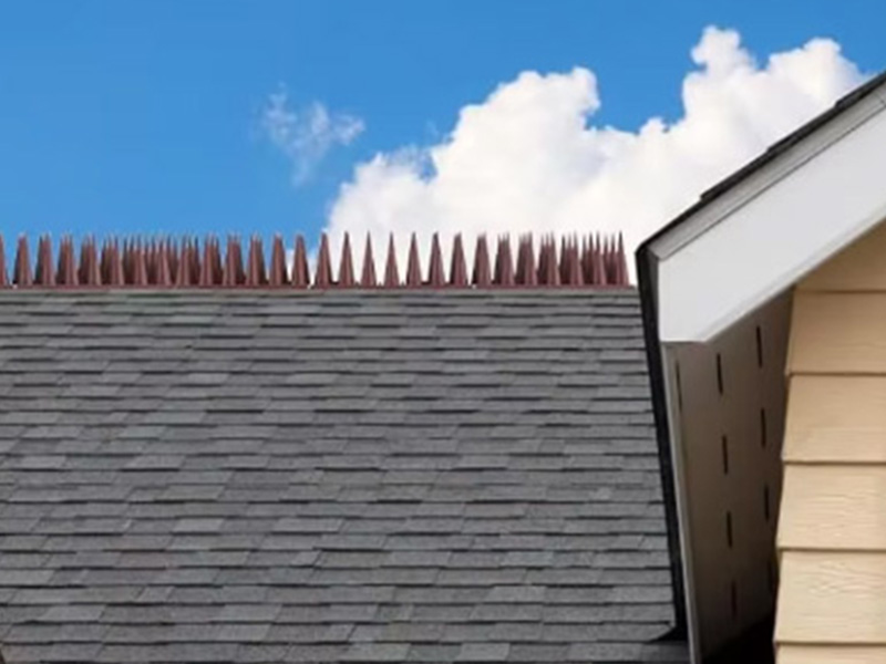 Pigeon Squirrel Raccoon Cat Deterrent Spike Outside Anti Robin Defender Outdoor to Keep Birds Away Roof Fence