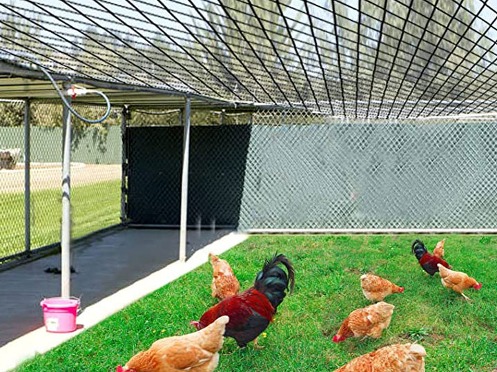 Black HDPE Knotted Poultry Net for poultry netting 