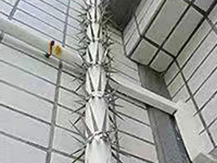 Stainless steel anti snake spike on the Water downpipe.