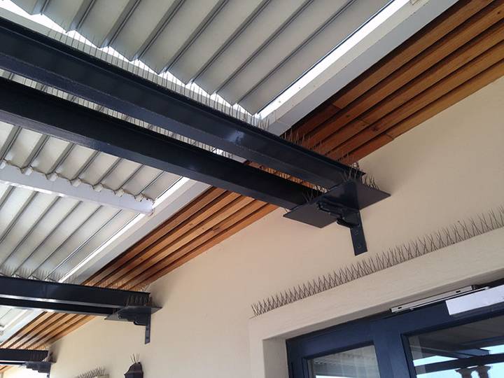 Stainless steel bird spikes with PC base on the indoor beam for animal & pest control.