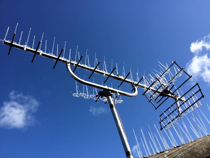 100% polycarbonate bird spikes installed on the aerials.