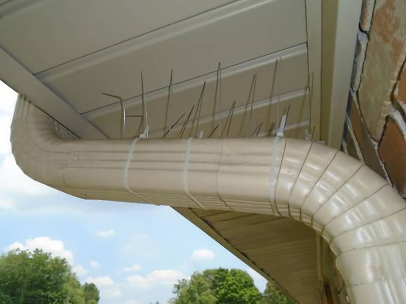 100% polycarbonate bird spikes installed on the curved pipe.