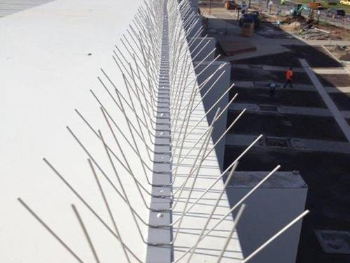 100% stainless steel bird spikes installed on the roof.