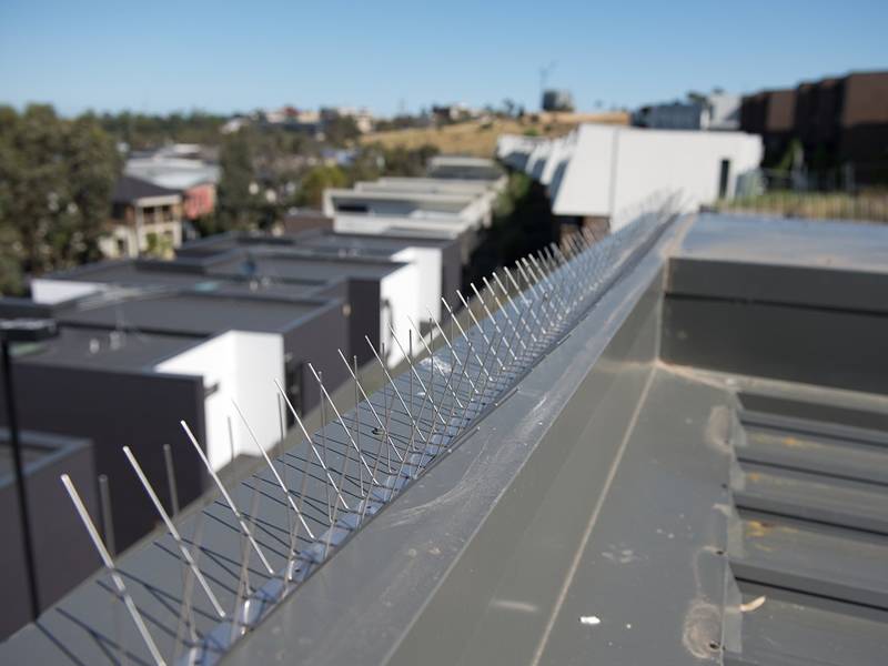 100% stainless steel bird spikes on the rooftop for defense the birds.