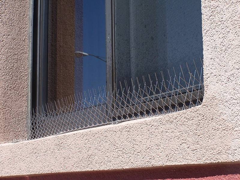 100% stainless steel bird spikes on the windowsills for defense the birds.
